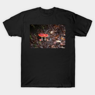 Fly Agaric T-Shirt